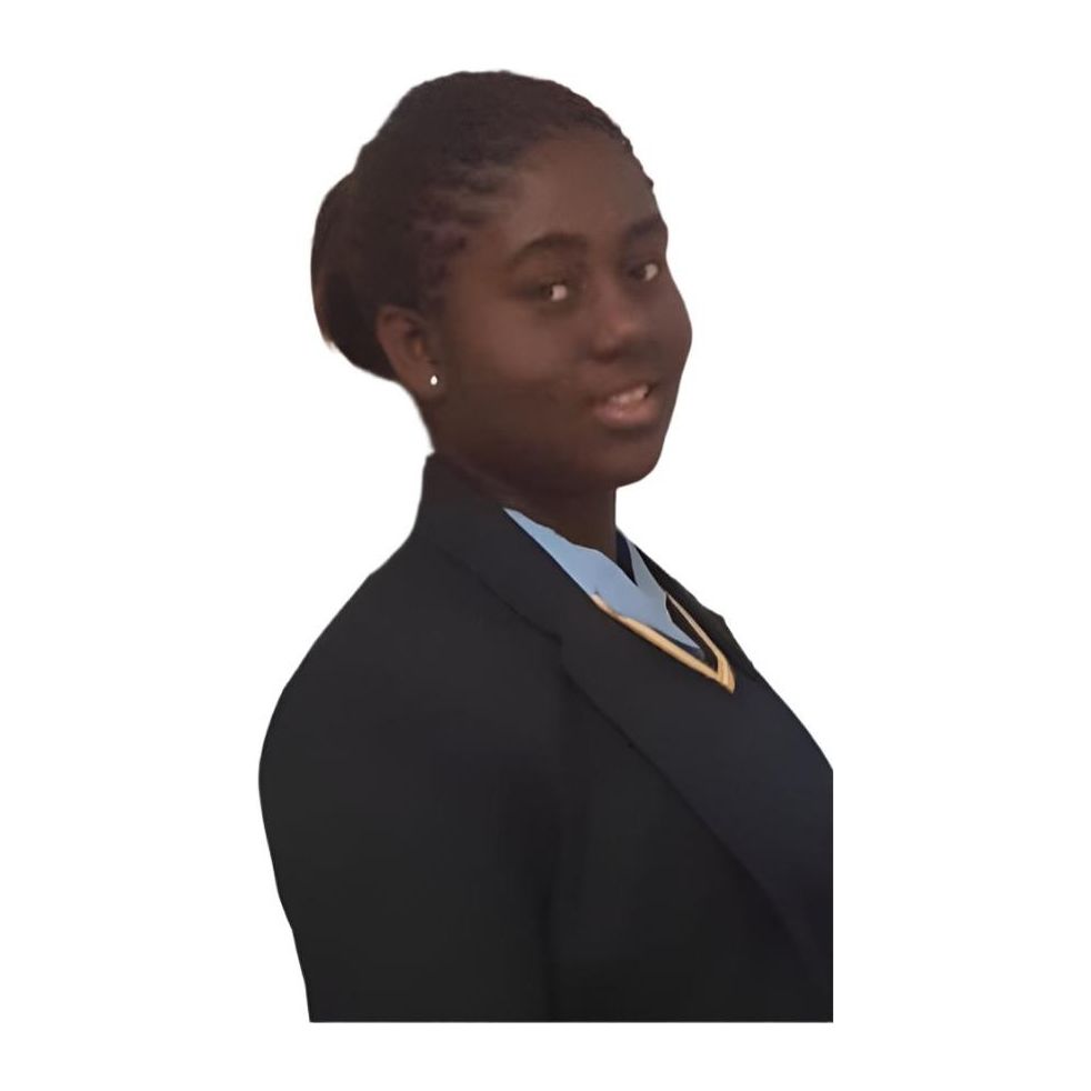 Auntie lizzy laura braid T2-39